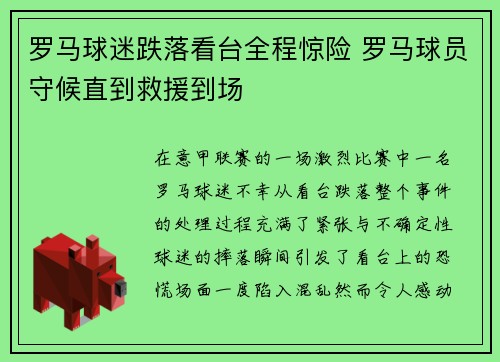 罗马球迷跌落看台全程惊险 罗马球员守候直到救援到场